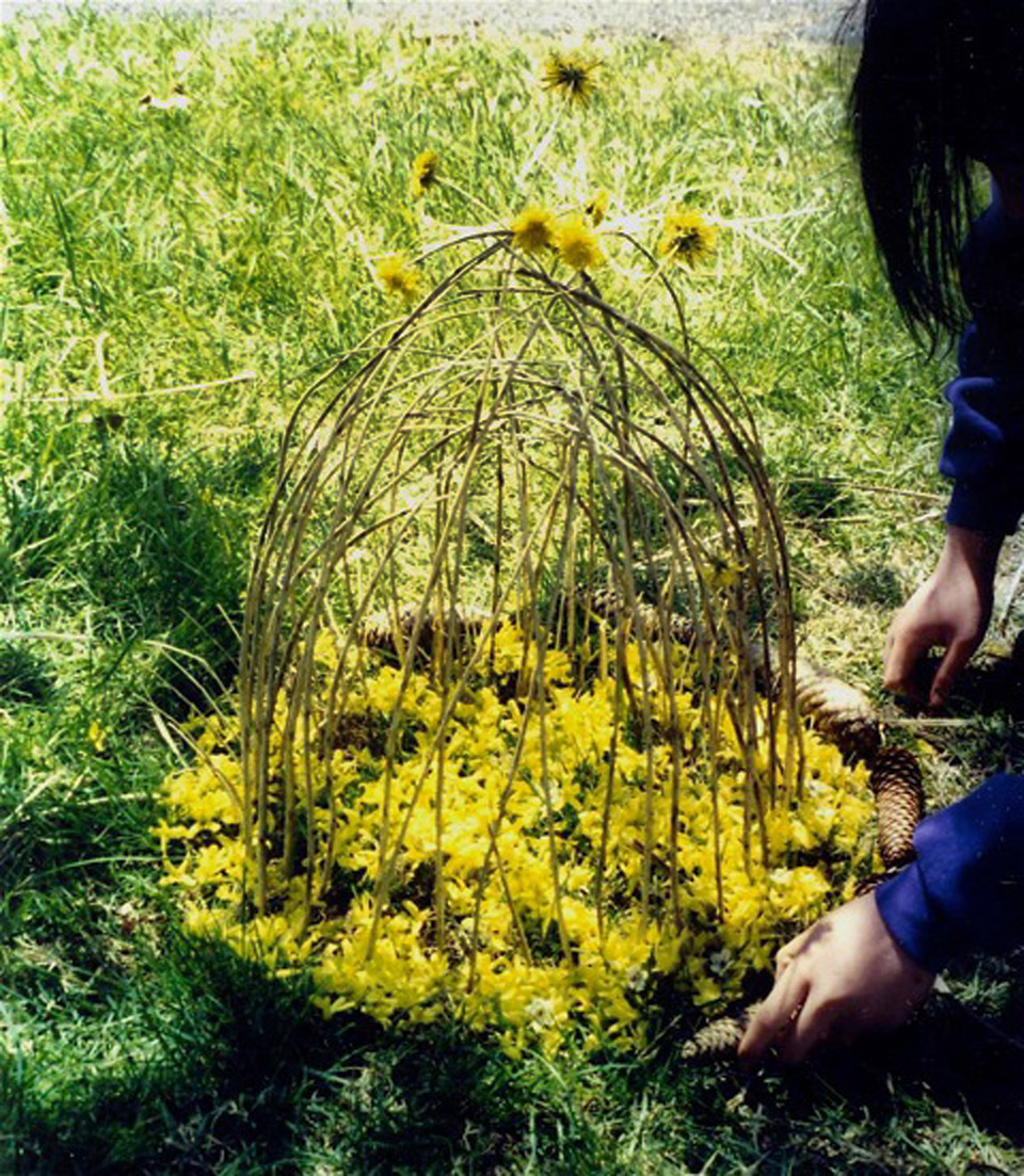 Forsythia:Ailanthus Art.jpeg